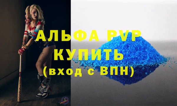 прущие грибы Богородицк