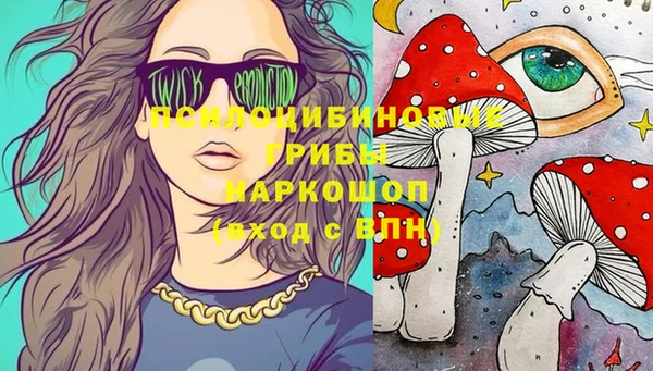 метадон Белокуриха