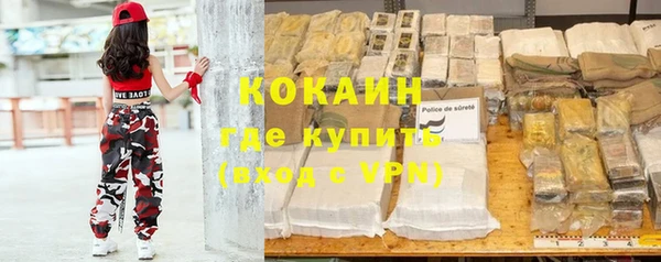 прущие грибы Богородицк